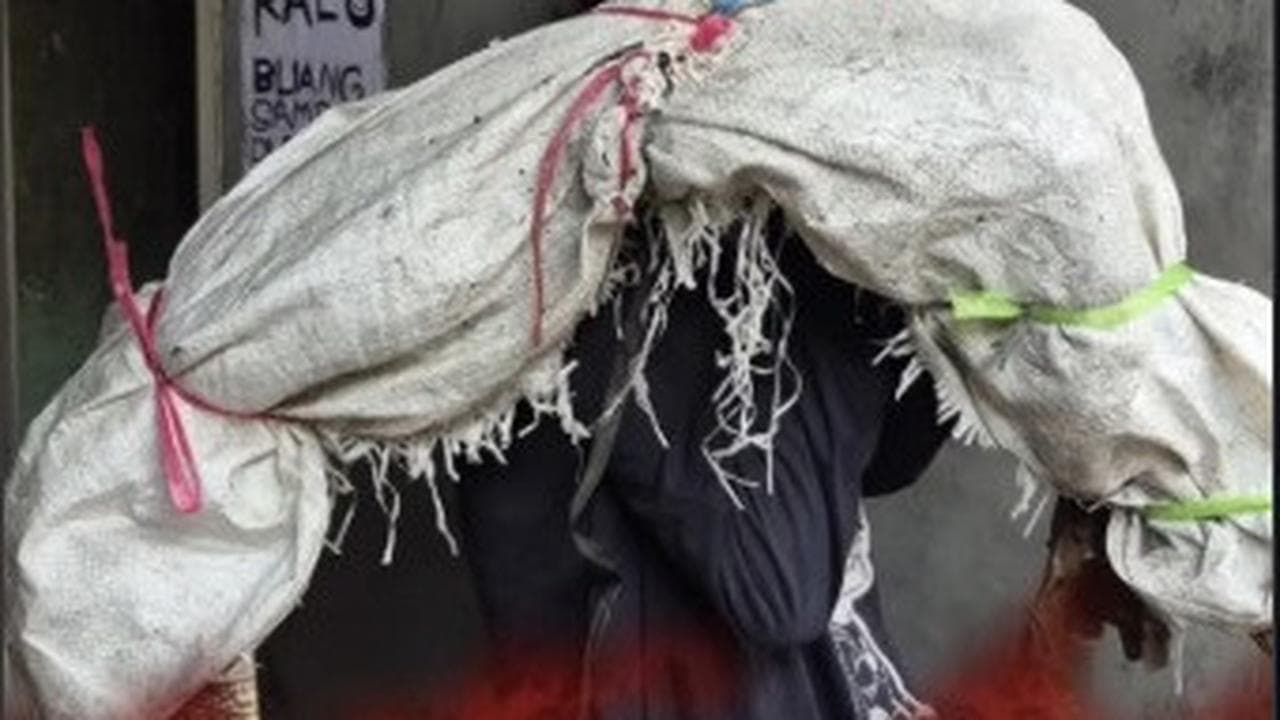 Kisah Nyata di Gang Krendang: Saat Kecurigaan Warga Berubah Jadi Cerita Unik Tentang Hewan Liar di Kota