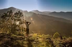 Mencari Kembali Diri di Tengah Bising Digital: Kisah Perjalanan Tanpa Notifikasi yang Mengubah Hidup