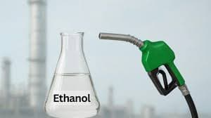 Mimpi Hijau di Tangki Bensin: Bagaimana Indonesia Menyulap Sawit dan Tebu Menjadi Masa Depan Energi