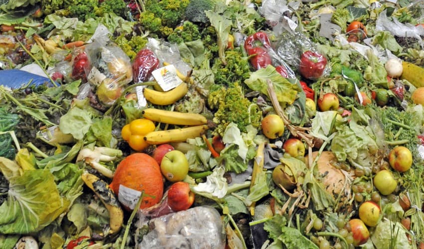 Mengurai Benang Kusut Sampah: Dari Kebiasaan Sehari-hari Menuju Hidup yang Lebih Bermakna