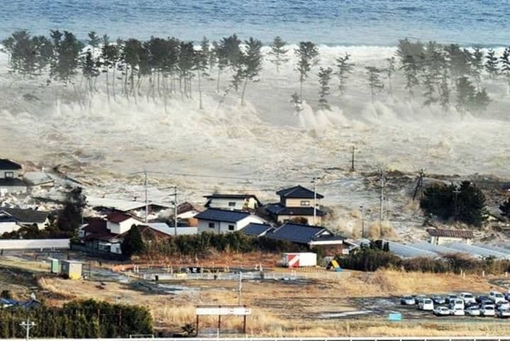 Ketika Sirene Tsunami Berbunyi: Panduan Bertahan Hidup yang Sering Terlupakan